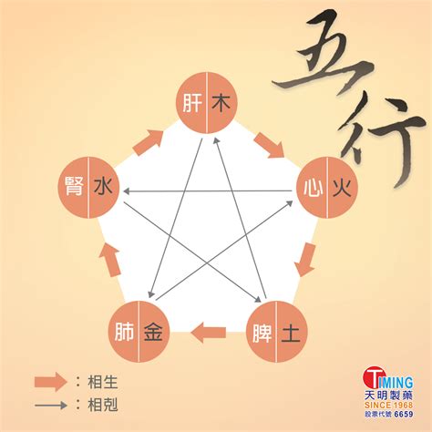 中醫五行屬性|中醫知識 